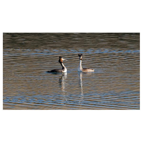 PHOTO84, CLUB, 84 , LUBERON